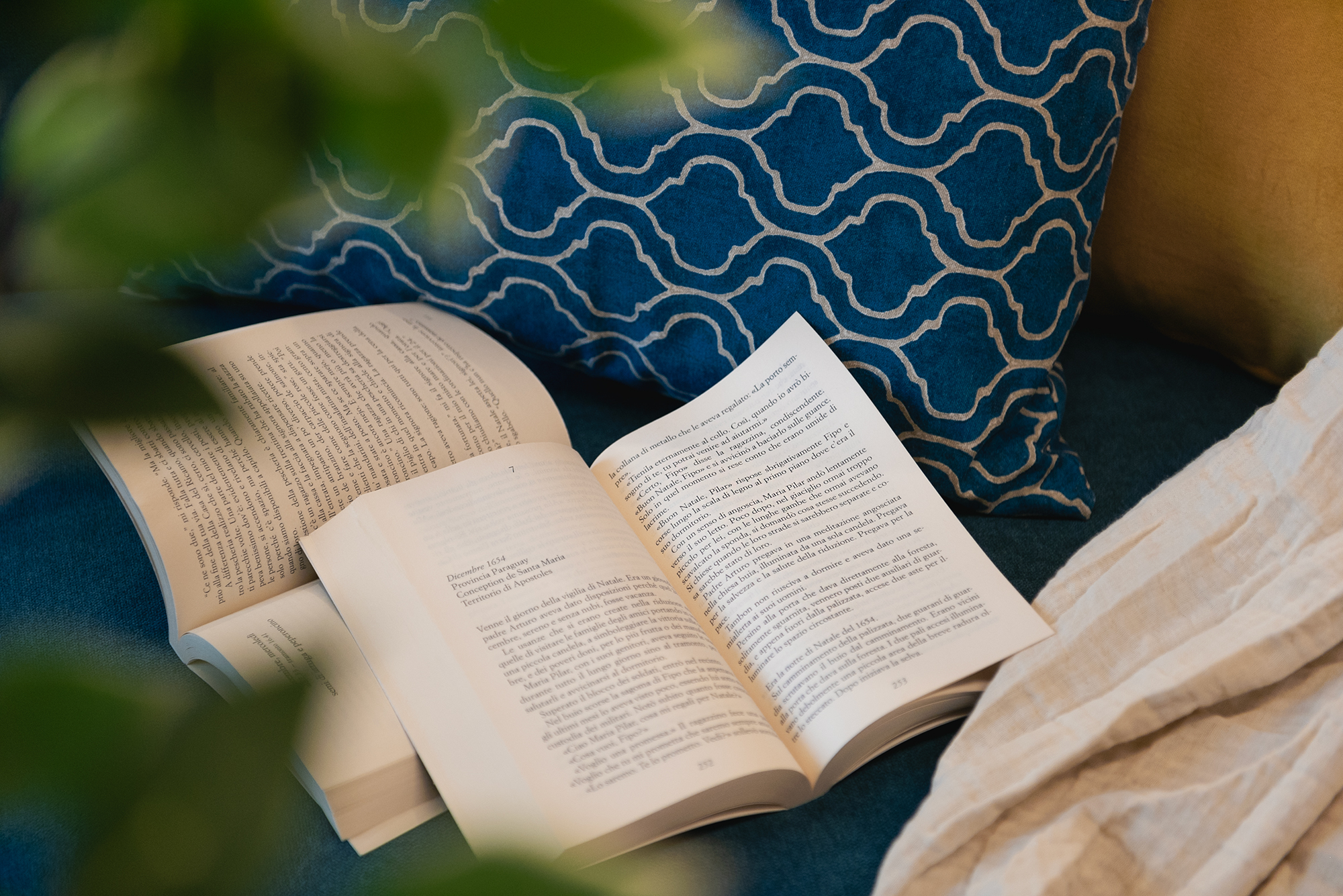 Un dettaglio di un libro aperto appoggiato su dei cuscini blu
