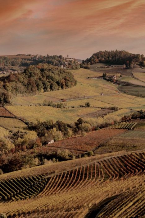 Panoramic shot of an autumn sunset in Langhe