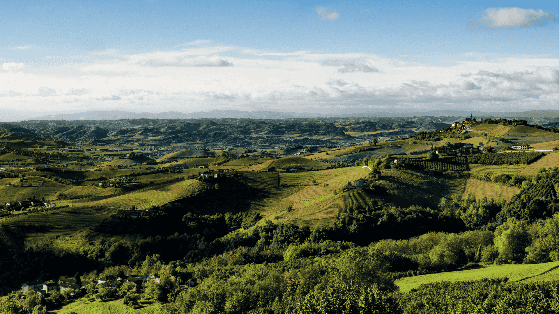 La colline verdi delle Langhe con alberi e vigne e cielo azzurro
